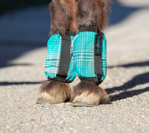 draft horse fly boots