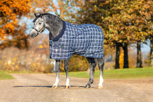 BMB Royal Grand Champion Stable Blanket with Hood Size 80.