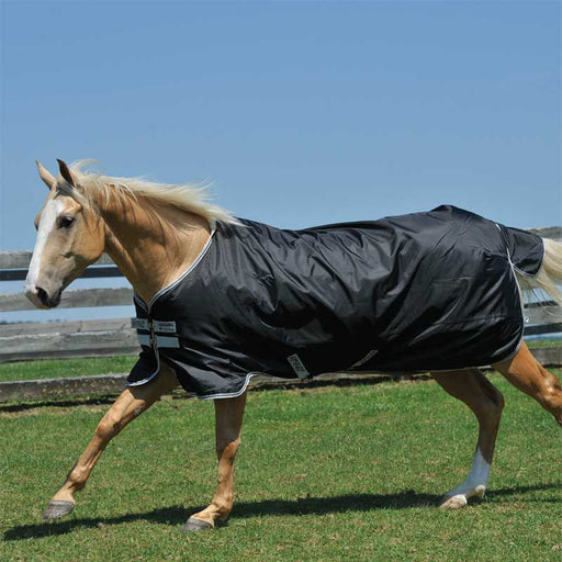 Amigo Stock Horse Medium Turnout Sheet