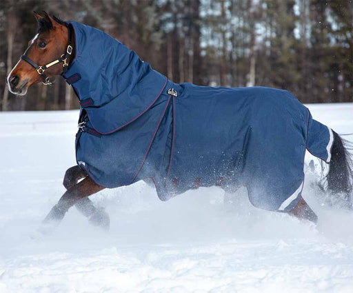 Mid-Winter Blanket Repair - Horse Illustrated
