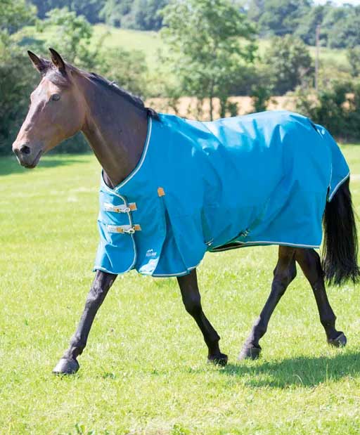 Shires Turnouts — Performance Horse Blankets